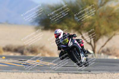 media/Jan-14-2024-SoCal Trackdays (Sun) [[2e55ec21a6]]/Turn 4 Tree of Life (155pm)/